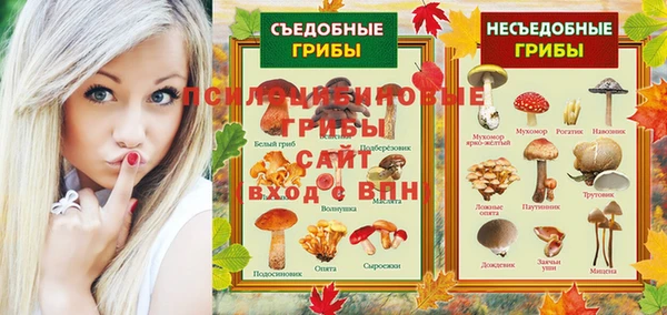 амф Козельск